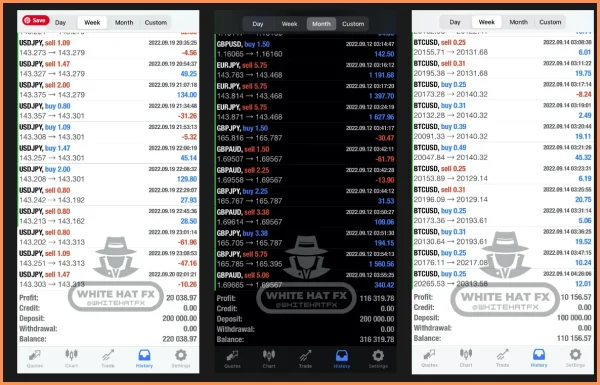 White Hat FX v3.1 MT5 Expert Advisor for Smart Forex Trading - Image 2