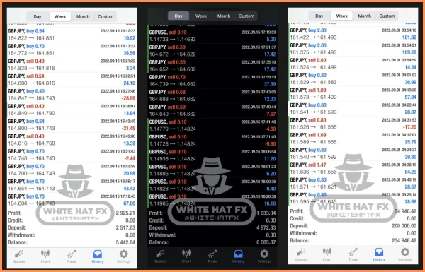 White Hat FX v3.1 MT5 Expert Advisor for Smart Forex Trading - Image 3