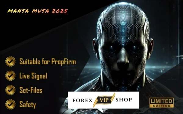 Mansa Mussa Build 1430+
