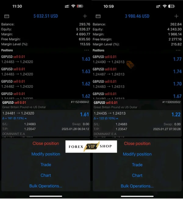 Dominant EA V1.1 MT5 DOWNLOAD | Live Result 2