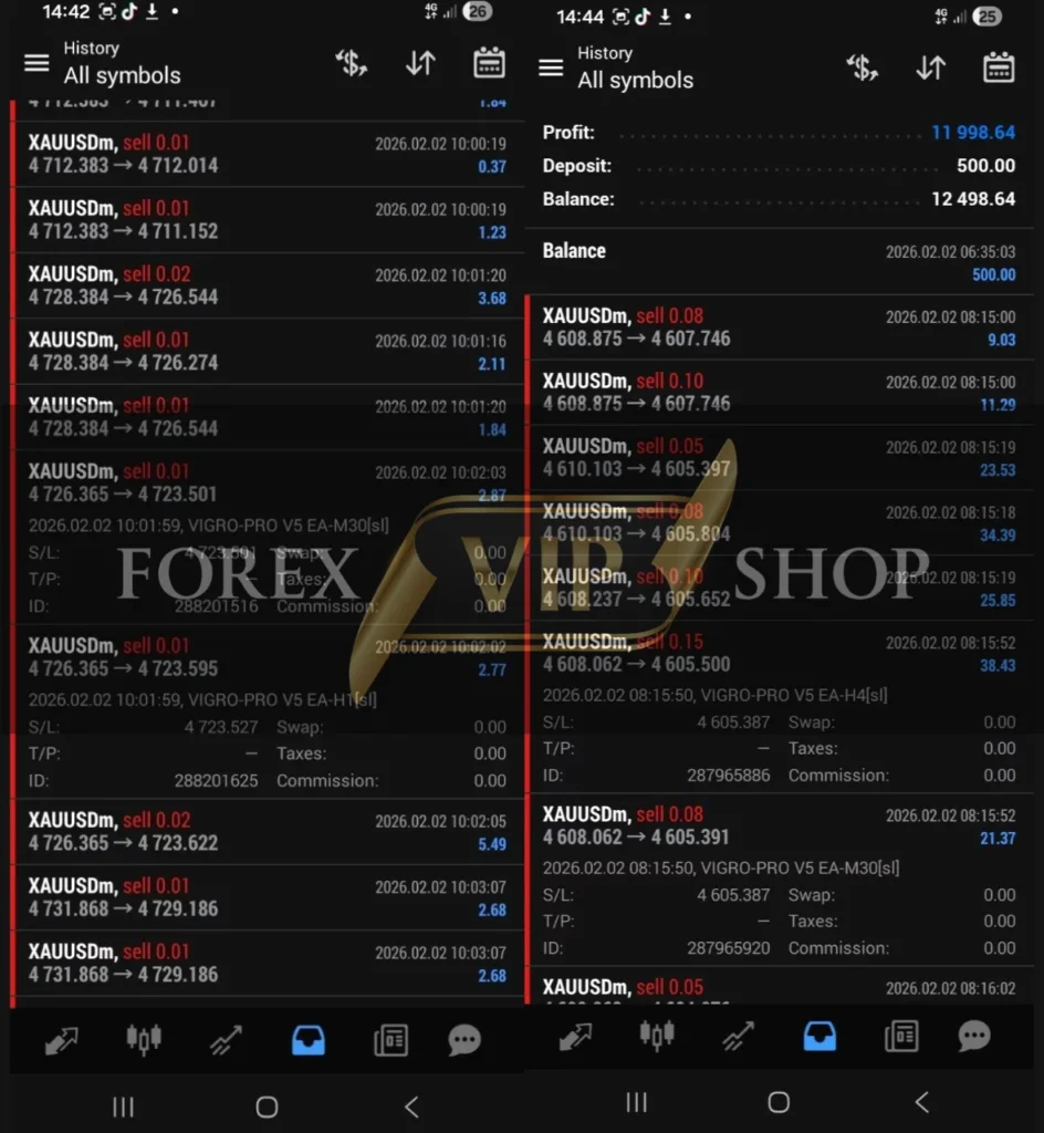 VIGRO PRO V5 EA MT4 Review