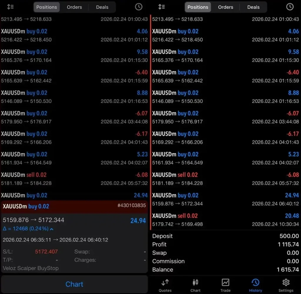 Veloz Scalping Bot MT5 Review 1