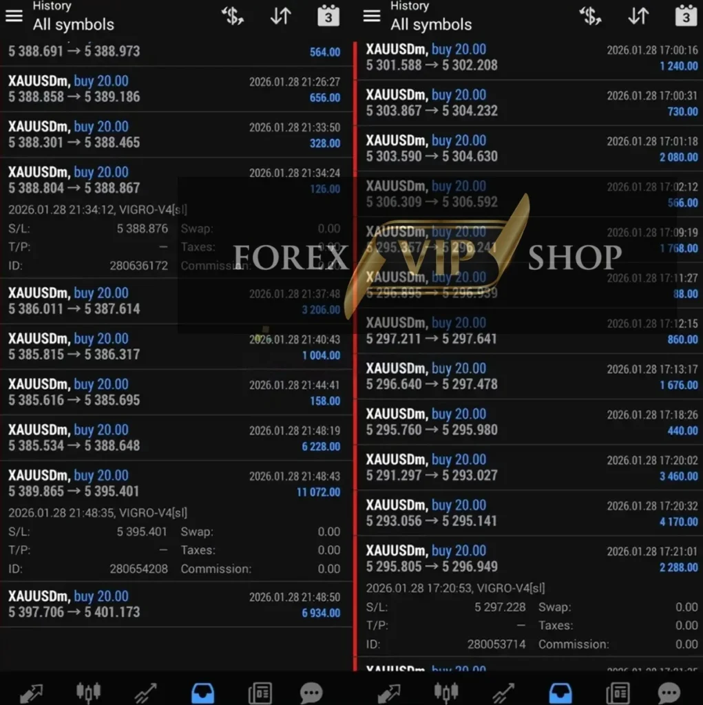 VIGRO PRO EA MT4 profit results showing gains with Gold trade history on MT4