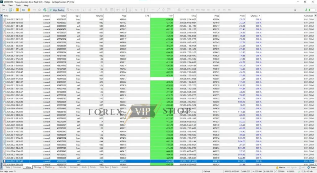 G101 EA Scalper MT5 Trading Result 2