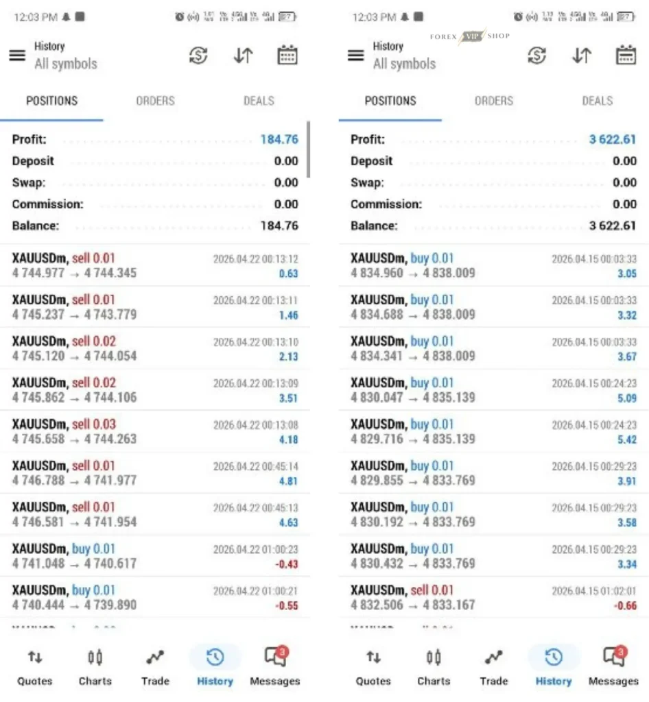 Gold Liquidity MT5 Review 1 Profit