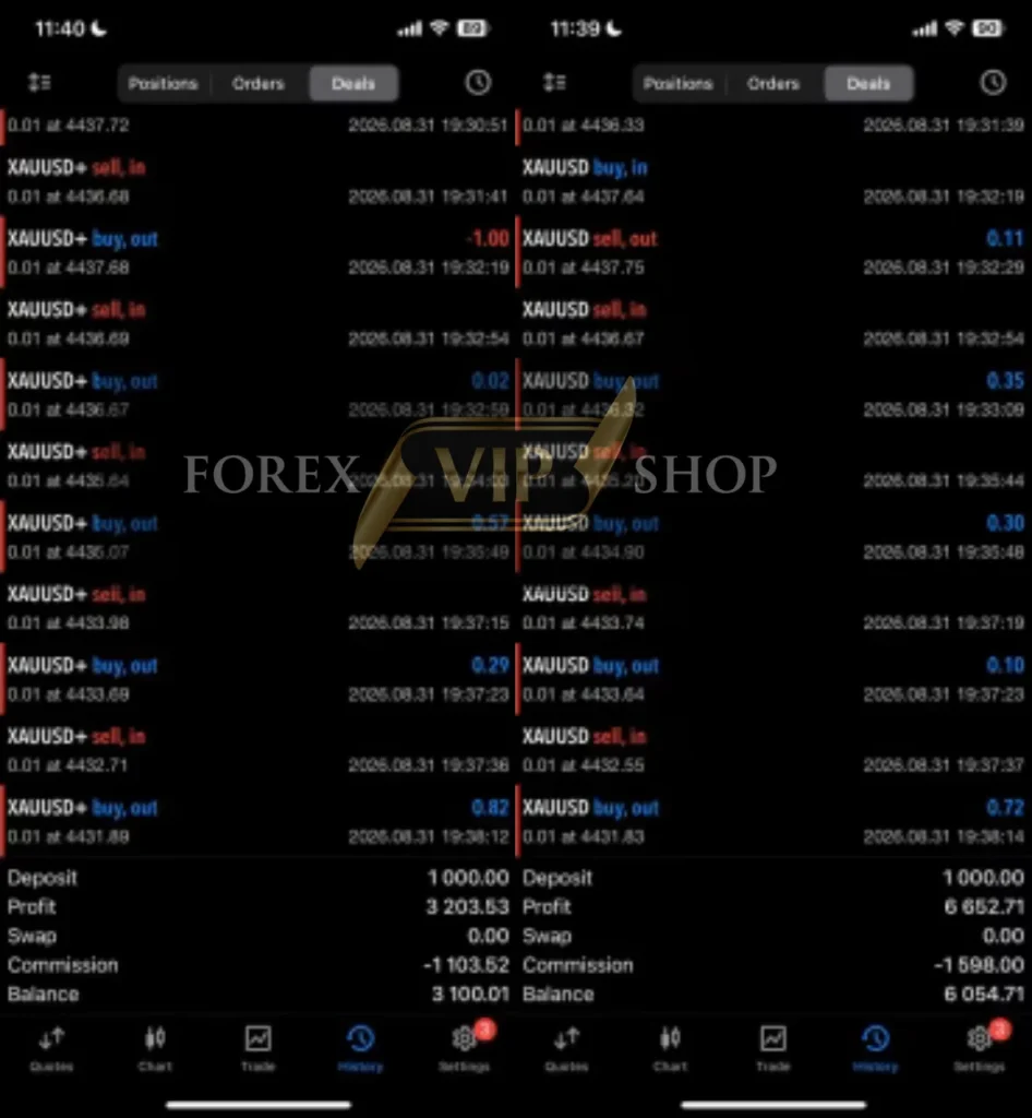 PipScalper EA MT5 Result 1 New