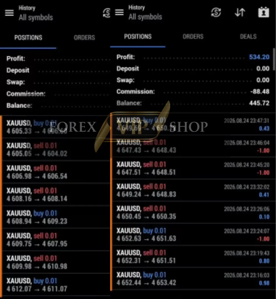 PipScalper EA MT5 Result 2 New