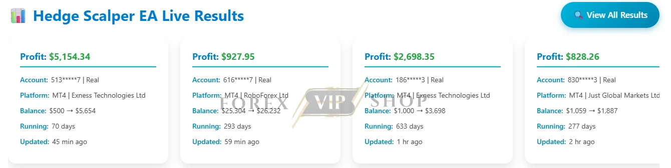 Hedge Scalper EA MT4 Result
